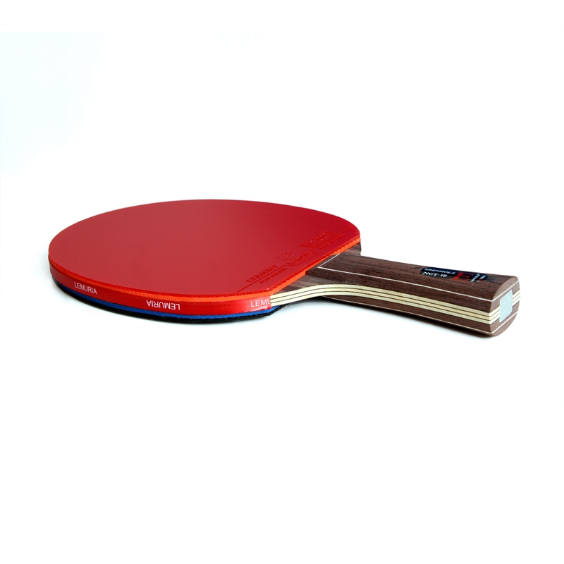 Ракетка для настольного теннис – обзор и цена Table Tennis Forehand Rubber